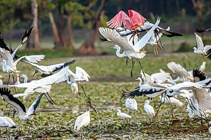 Palo Verde National Park (half day) - Photo 1 of 25